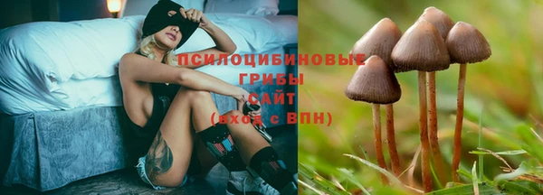 ALPHA PVP Богородск