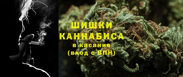 первитин Богородицк