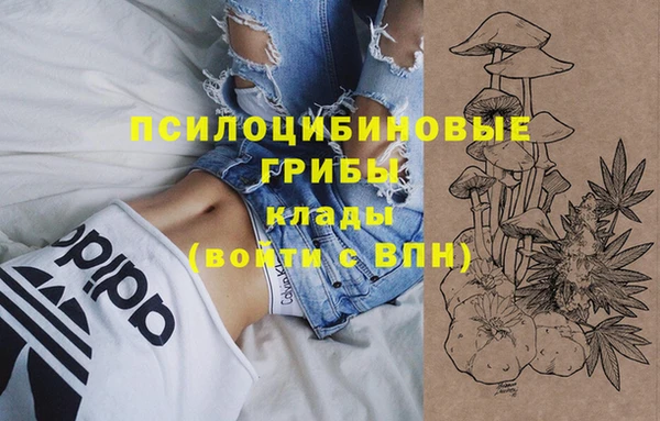 первитин Богородицк