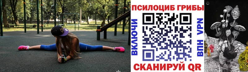 Псилоцибиновые грибы Cubensis  Верещагино 